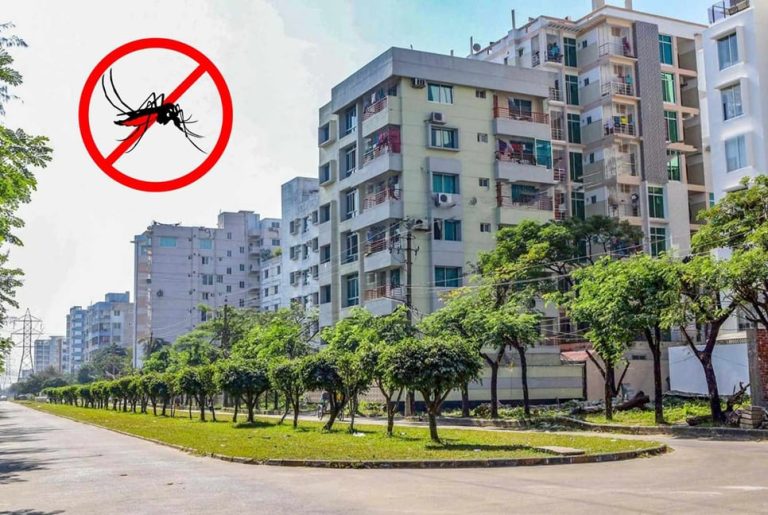 বসুন্ধরা আবাসিক মশা নিয়ন্ত্রণে এক সফলতার গল্প